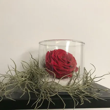 Casa Della Zia Elsa Affittacamere Verona