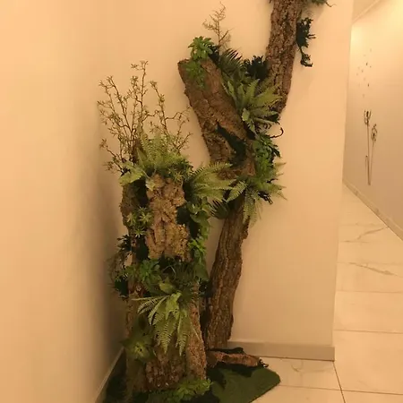 Casa Della Zia Elsa 2*