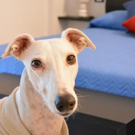 Maison d'hôtes Casa Della Zia Elsa Vérone